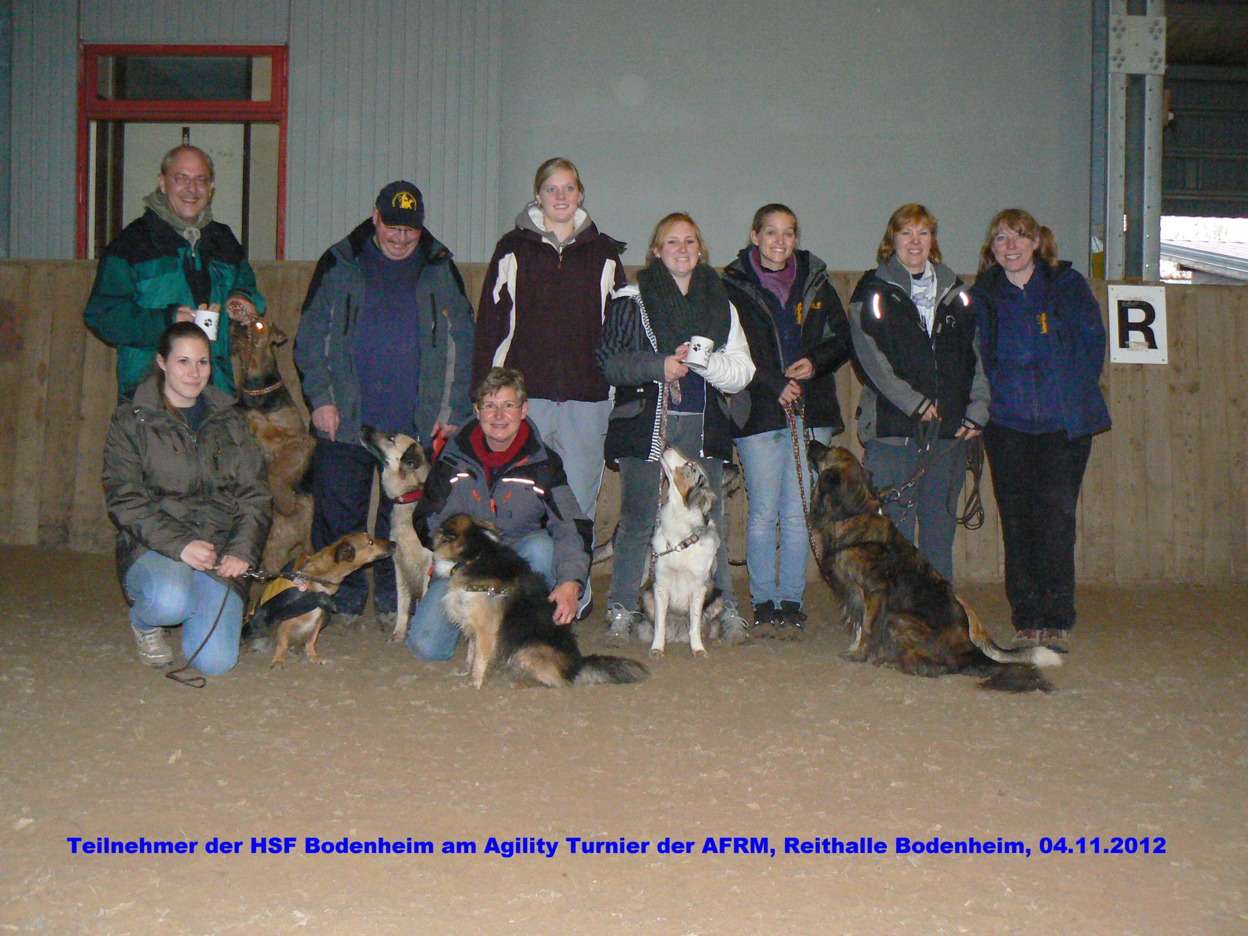 Read more about the article Agility-Hallenturnier, 03./04.11.2012